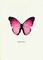 Pink Butterfly Poster Print by GraphINC - Item # VARPDXIN318884